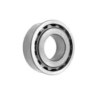 8E-NK1 25x52,2x15,5 PX1 NTN