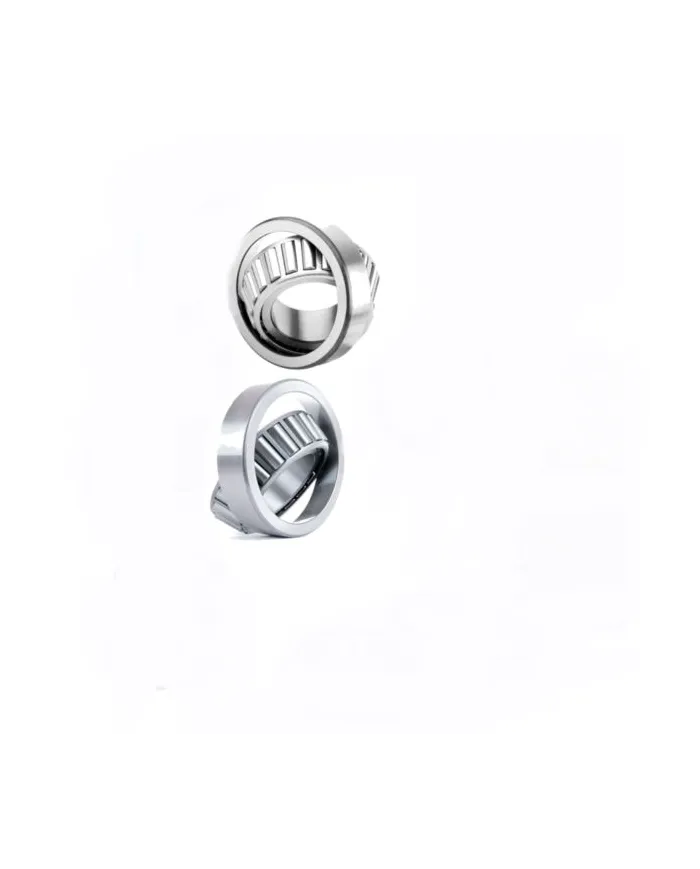 Łożyska mechanizmu różnicowego C547 Fiat