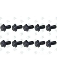 86793 TORNILLO M12x1x25 60172009