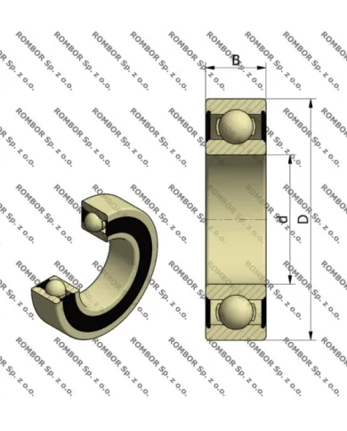 SS 6206 2RS  6206 2RS INOX ENC-BRL