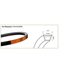HC 4810 HARVEST BELTS PAS KLINOWY STOMIL