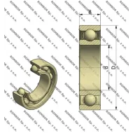 6008 SKF