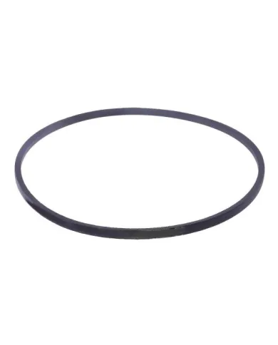 HZ 1673LP PAS KLINOWY OPTIBELT