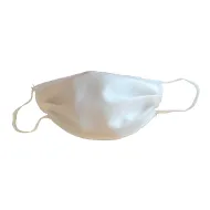 Masques de protection lot de 50 pièces