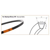 SPB 2240 Cosechadora Pas KLINOWY SANOK