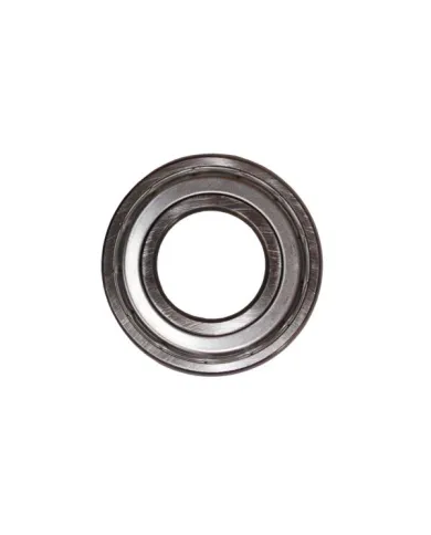 W 6001 ZZ SKF
