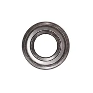 6208 ZZ P6 C3 BBC-R