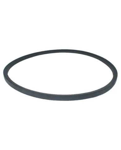 SPA 957 PAS KLINOWY OPTIBELT