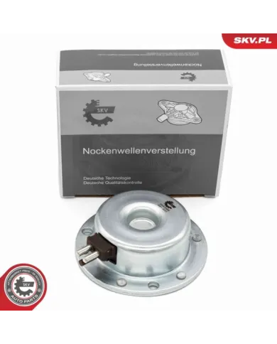 39SKV906 SKV Phasensteuerungsmagnet