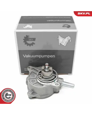 18SKV064 SKV Pompa vacum