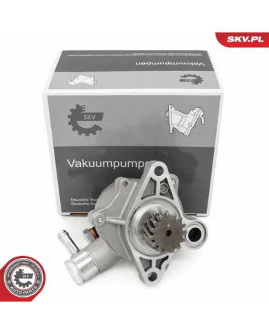 18SKV065 SKV Pompa vacum