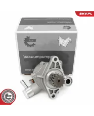 18SKV065 SKV Вакуумный насос