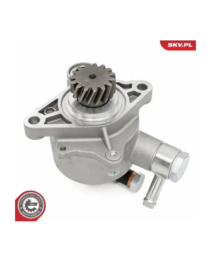 18SKV065 SKV Pompa vacum