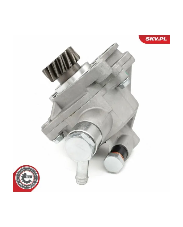 18SKV065 SKV Pompa vacum