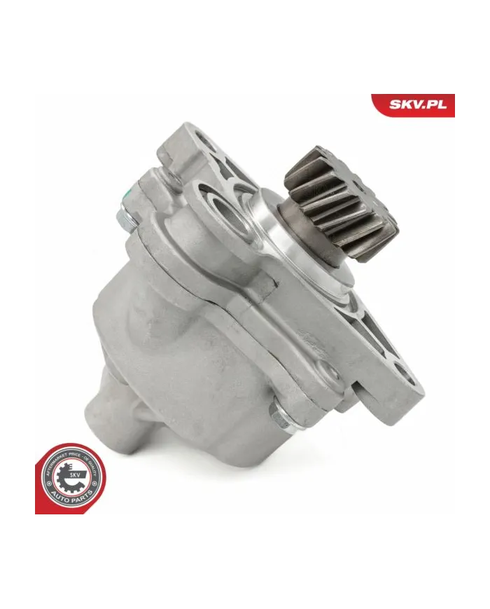 18SKV065 SKV Pompa vacum