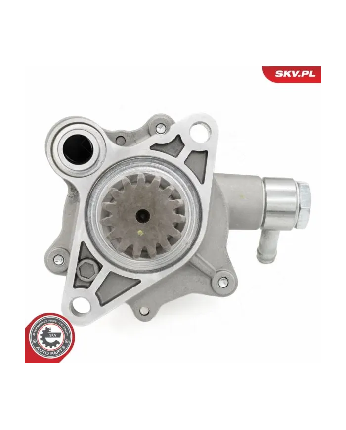 18SKV065 SKV Pompa vacum