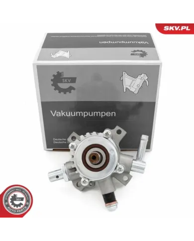 18SKV066 SKV Pompa vacum