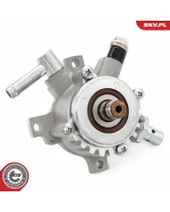18SKV066 SKV Pompa vacum
