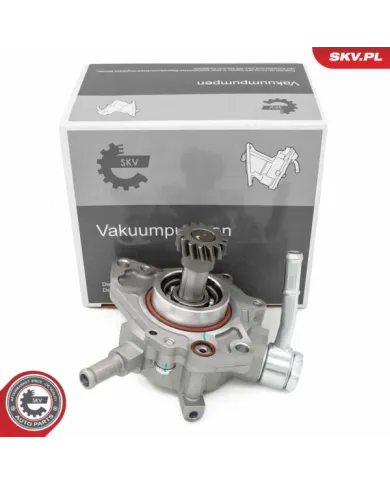 18SKV067 SKV Pompa vacum
