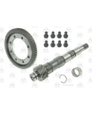 61600 ROUE DE COURONNE + ARBRE D'ATTAQUE