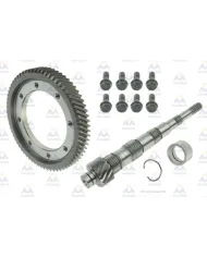 62169 RONDE DE COURONNE + ARBRE D'ATTAQUE