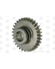 68385 RUISEÑOR DENTADO INVERSO 92WT-7141-AB 31 T.