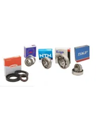 Bearing set for Suzuki Swift transmission.