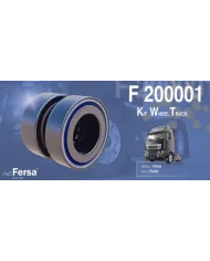 F 200001  581079 E FERSA