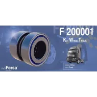 F 200001  581079 E FERSA